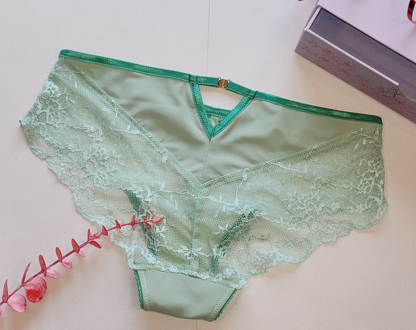 Slip Melissa modello cartamodello PDF taglie 32-52, tedesco. PDF E-Book slip/ mutandine da donna da cucire da soli. IDsmx3