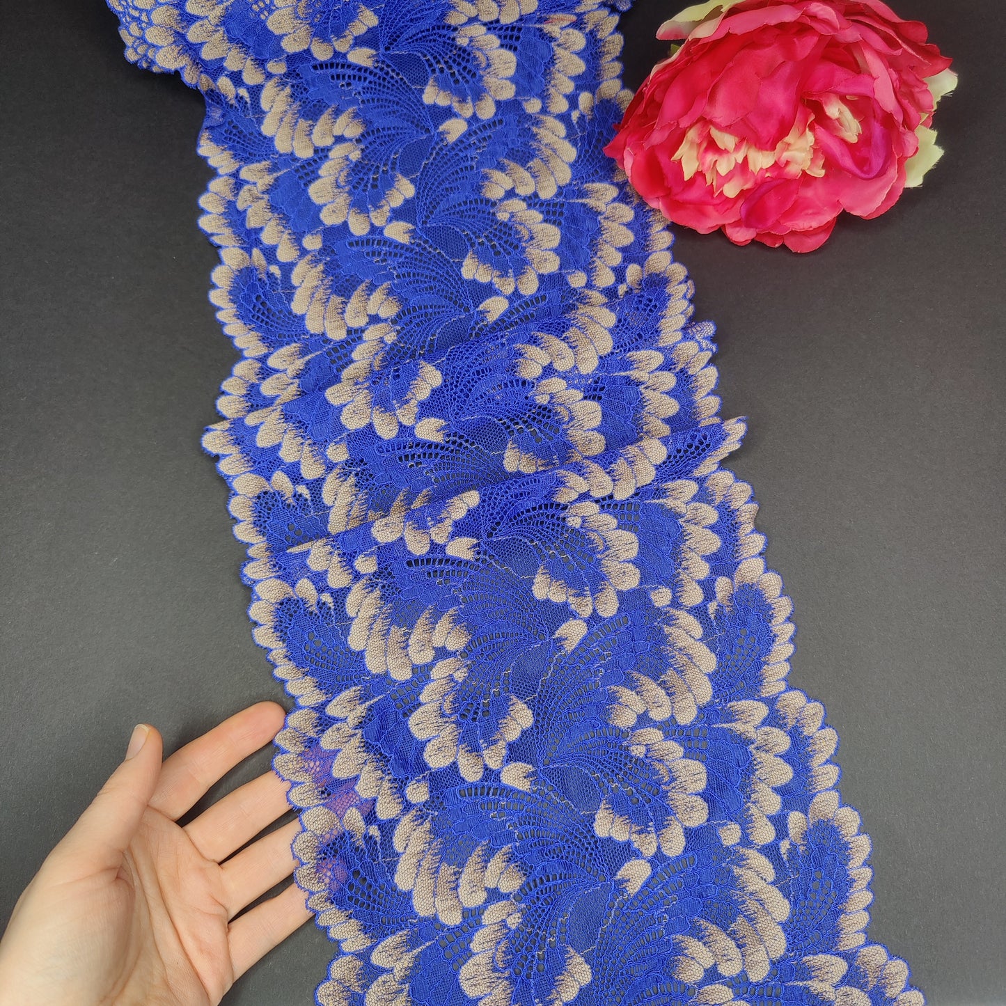 Fine elastic <tc>lace</tc>, <tc>lace</tc>nborder royal blue/beige, price per 1/2 meter IDsx4